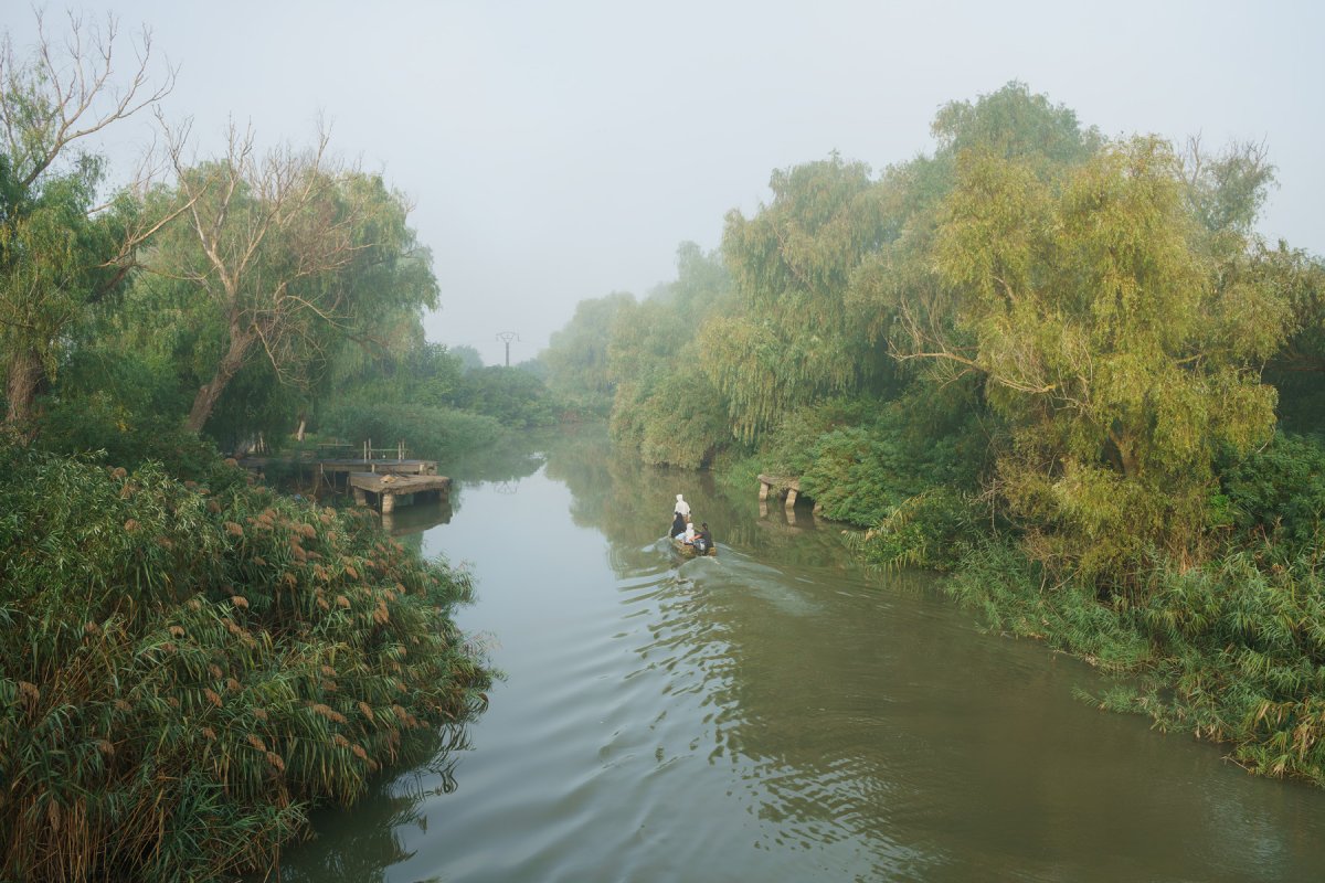 Danube Delta - Tudor Prisăcariu
